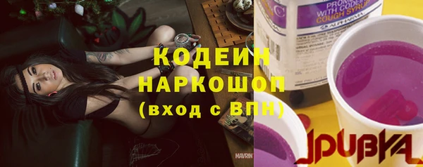 ГАЛЛЮЦИНОГЕННЫЕ ГРИБЫ Невель