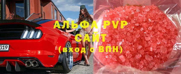 сатива Архангельск
