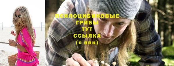 индика Невельск