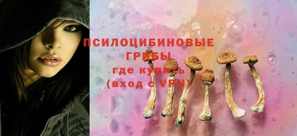 бошки Богданович