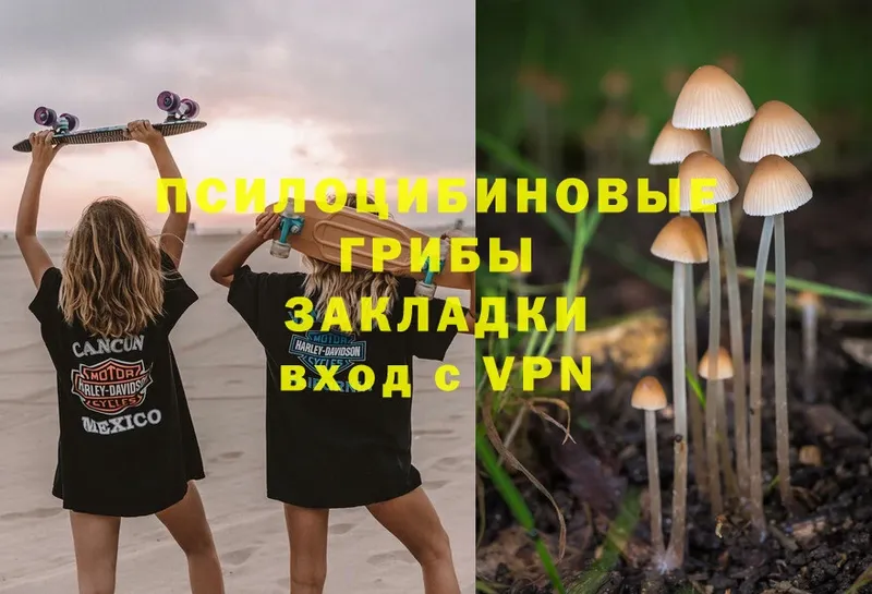 ОМГ ОМГ зеркало  наркошоп  Новомосковск  Псилоцибиновые грибы MAGIC MUSHROOMS 