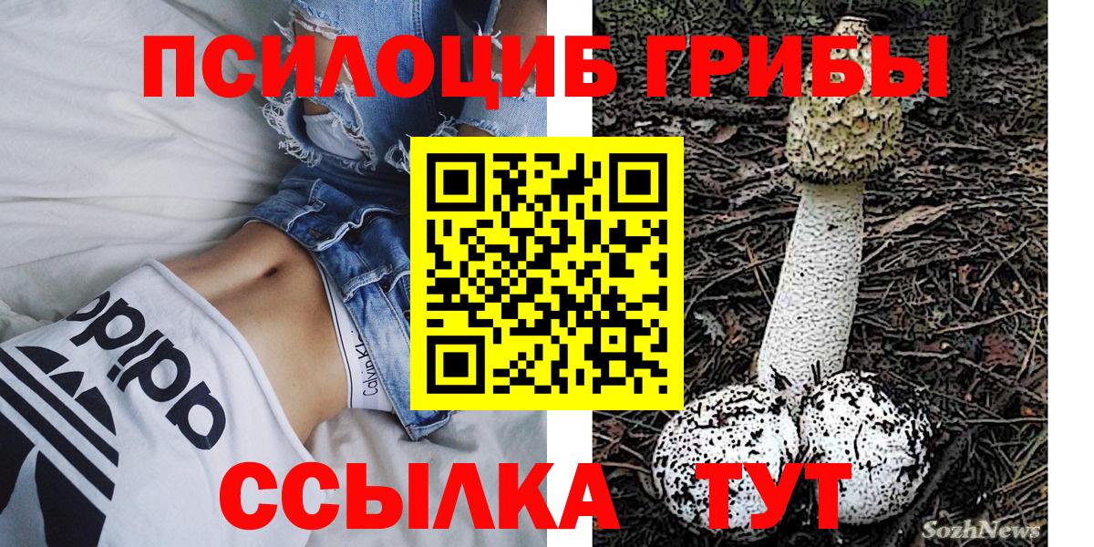 Галлюциногенные грибы ЛСД Новомосковск