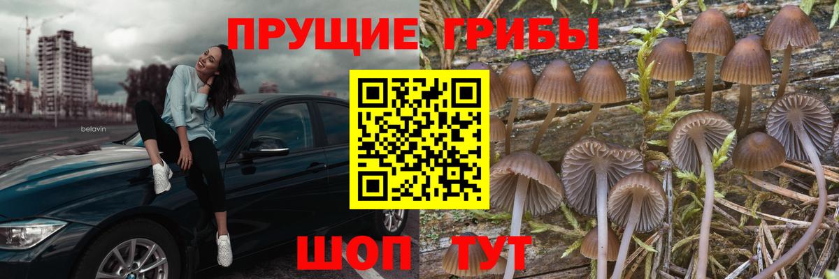 Галлюциногенные грибы мицелий  Вход с VPN  Новомосковск 